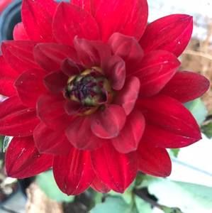 Meet your Posher, Phillipa